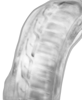 Dunlop SP Sport Maxx RT