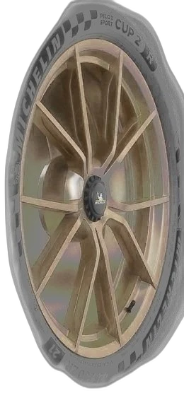 Michelin Pilot Sport Cup 2 R Connect
