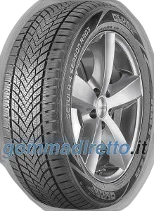 Rotalla Setula 4 Season RA03