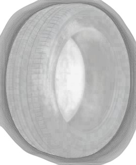 Dunlop Sport Classic