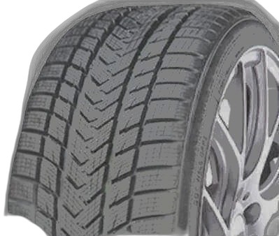 Gripmax Status Pro Winter