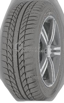 GT Radial Champiro WinterPro