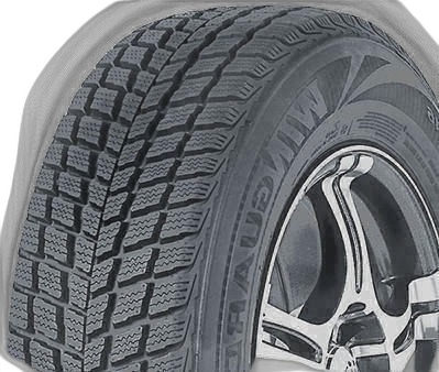 Nexen WinGuard SUV