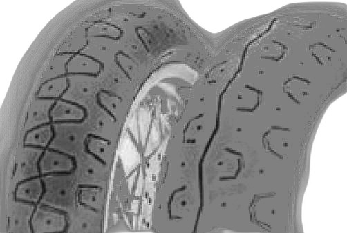 Pirelli Phantom Sportscomp