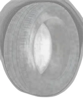 Michelin X Ice Xi3