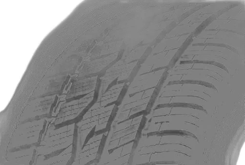 Toyo Celsius