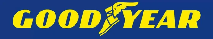 Goodyear UltraGrip 8 Van